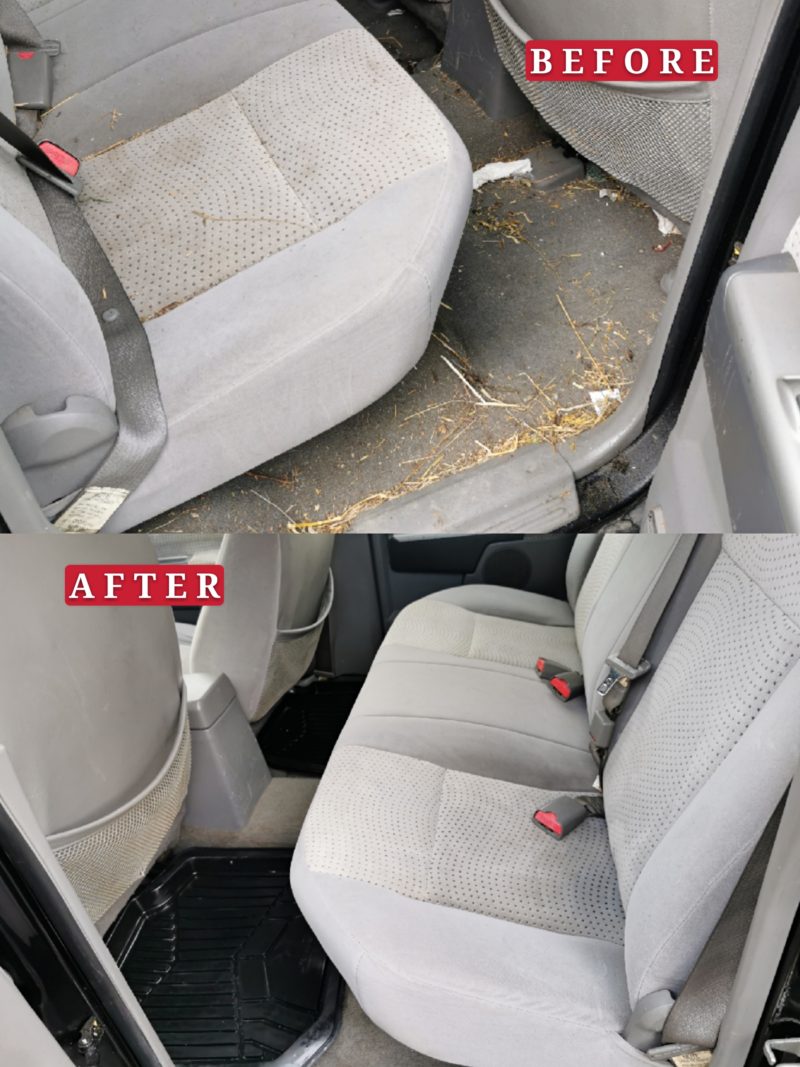 Car Valet, Car Wash, and Vehicle Detailing in Auckland Albany Car Valet